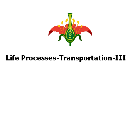 Life Processes-Transportation-III